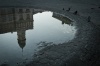 Wolnica 0001, square, wolnica, town hall, reflection, fountain, birds, pigeons, cube, paving, color,