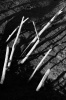 LANDSCAPE 0019, branches, sand, light, shadow, landscape, photography, black white, B&W,