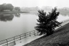 WISLA 0002B, wisła, bulwary, zakole, kraków, czarno biała, fotografia, krajobraz,