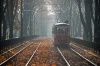 DIETLA_0003, jesień, mgła, tory, tramwaj, 22, liście, kraków, fotografia, kolor,