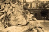 RATUSZ 0002A, the main square, town hall, lion, tower, krakow, old town, photography, sepia, archite